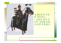 광개토태왕의 영토확장-19