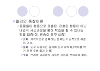 기본적 사고력 개념 획득 모형1-6