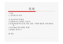 잡지 광고에 나타난 언어의 문제-2