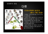 진화론 보고서 레포트-14