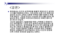 나라아먀부시코영화 이야기-16
