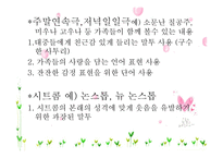 텔레비전의 언어-11