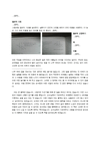좋아하는 책에 대한 이야기-4