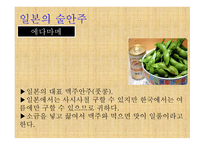 일본 의술 문화-16