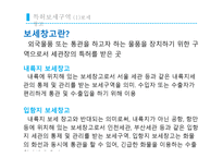 “보세구역”한국 중국 터키-15