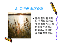 한반도의 땅끝해남海南-16