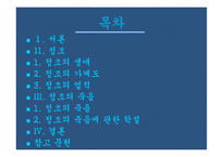 조선 최고의 군주정 조-2