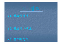 조선 최고의 군주정 조-9