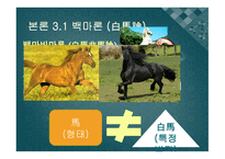 언어를 통해 상식의 틀을깨다명가의언어철학-14