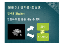 언어를 통해 상식의 틀을깨다명가의언어철학-15