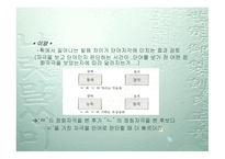 표기의 처리과정-10