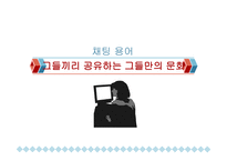 통신언어의 장르 소개 및 특징분석-13