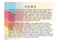 보르헤스에게 영향을 받은 작품들-12