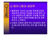 생태 페미니즘 문학의 흐름-11