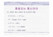 한국의 언어문화 통신언어-9
