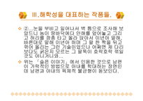 김유정의 문학세계 김유정의 해학성과 리얼리즘-15