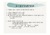 언어와 표현 한글 맞춤법-15