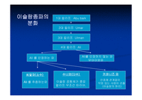 세기 평화학 이슬람 평화사상-6