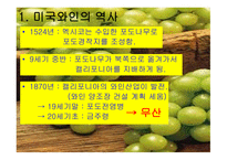 미국 와인 리포트-2