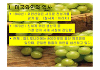 미국 와인 리포트-3