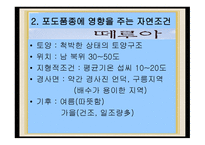 미국 와인 리포트-4