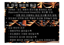 미국 와인 리포트-11