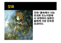 일본의 요괴와 전설들-13