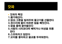 일본의 요괴와 전설들-14
