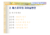 창의적 문제 해결 모형 사고력 증진-8