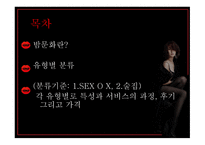 밤문화의 이해 레포트-2