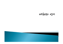 매체와 언어 레포트-1