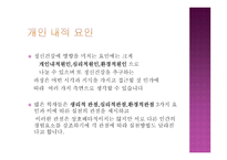 개인 내적 요인-2