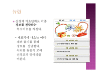 개인 내적 요인-5
