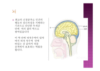 개인 내적 요인-6
