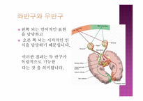 개인 내적 요인-13