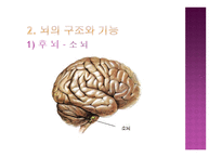개인 내적 요인-17