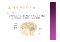 개인 내적 요인-19