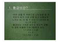 황금비 캘리퍼스 만들기-3