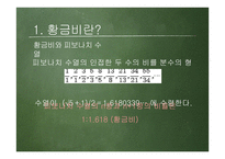 황금비 캘리퍼스 만들기-4