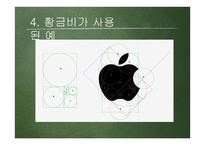 황금비 캘리퍼스 만들기-8
