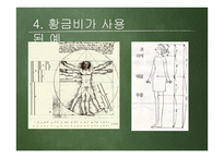 황금비 캘리퍼스 만들기-12