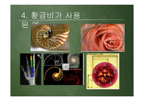 황금비 캘리퍼스 만들기-13