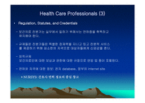 Professional Health CareInformation Standards-7