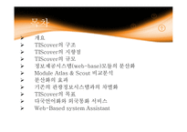 TIS cover보고서 레포트-2