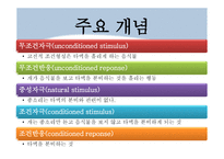 고전적 조건 형성 이론 심리학-5