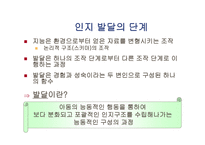 기본적 사고력 개념 획득 모형-8