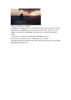 실제와 허구 사이 모큐멘터리 디스트릭트-3