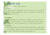 연극의 이해 연극 언어라는 이름으로 묻다-4