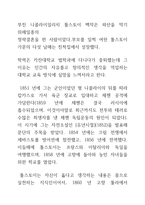 톨스토이의생애과사상 전쟁과 평화-3