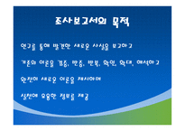조사계획서 및 보고서 작성-5